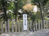 木祭2010