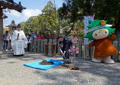 木祀り
